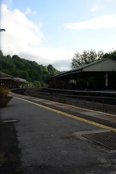 DSC_2690 (Large).JPG